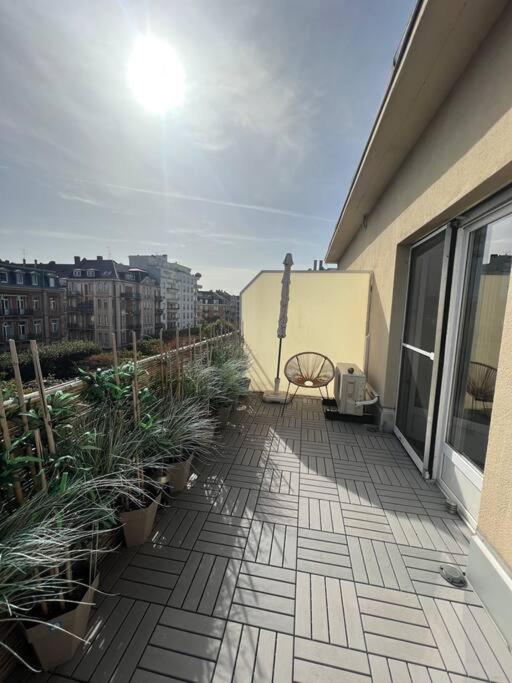 Appartement Cosy Orangerie Strasbourg Exterior foto