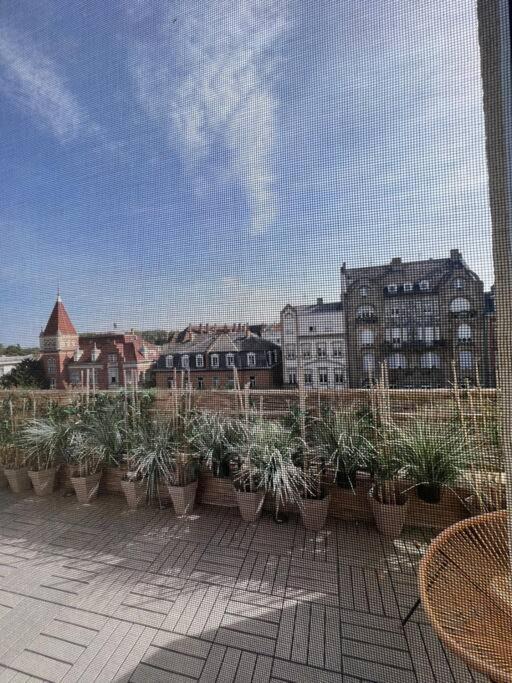 Appartement Cosy Orangerie Strasbourg Exterior foto